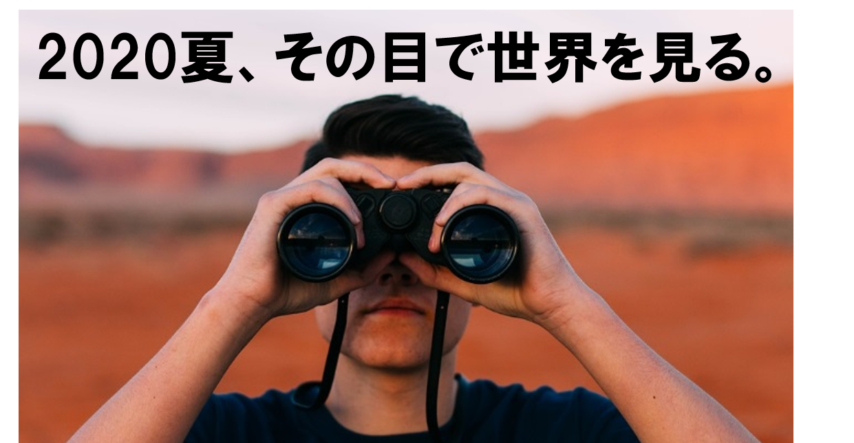 フィールド・スタディ