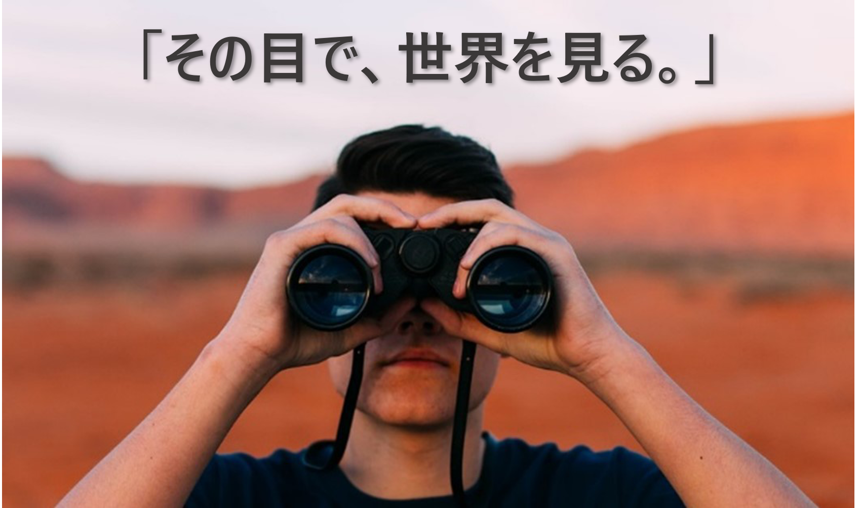 フィールド・スタディ