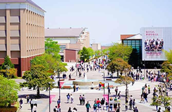 プログラム・学部情報