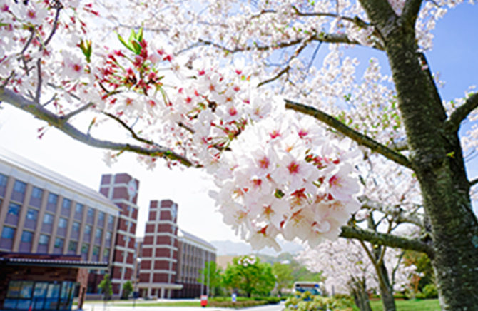 申請後の手続き