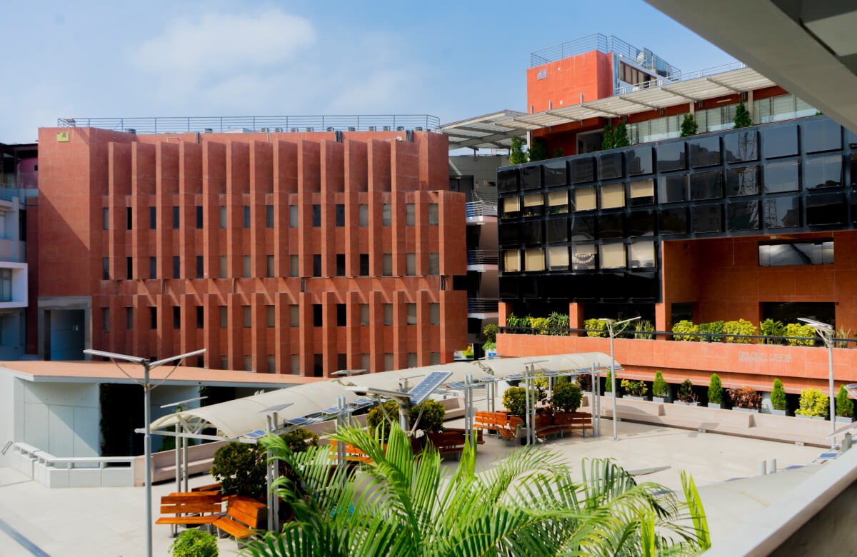 太平洋大学