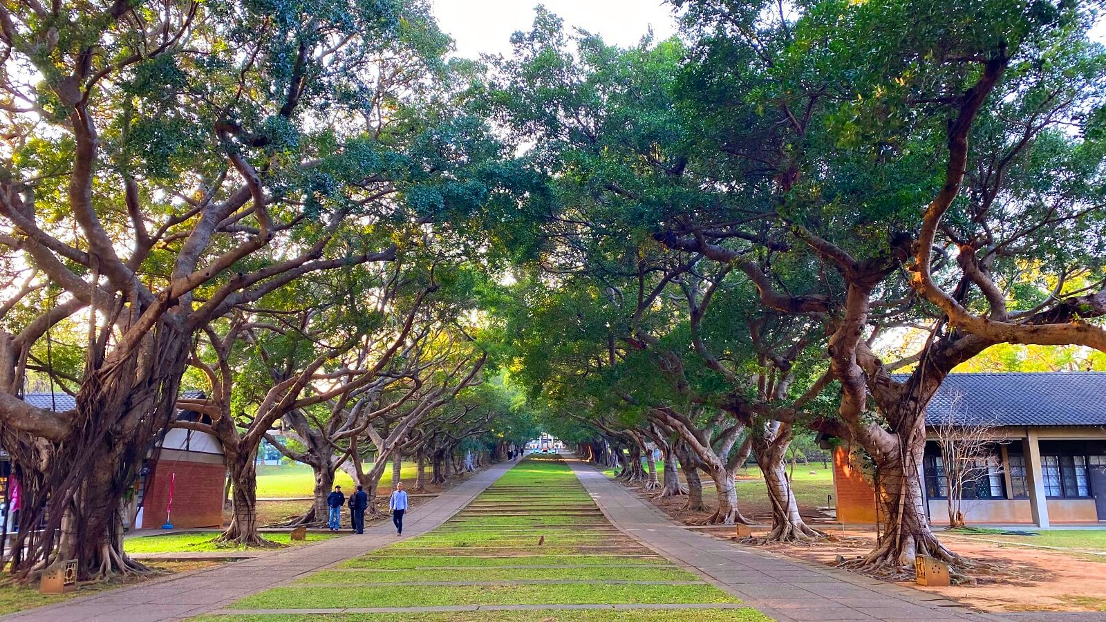 東海大学