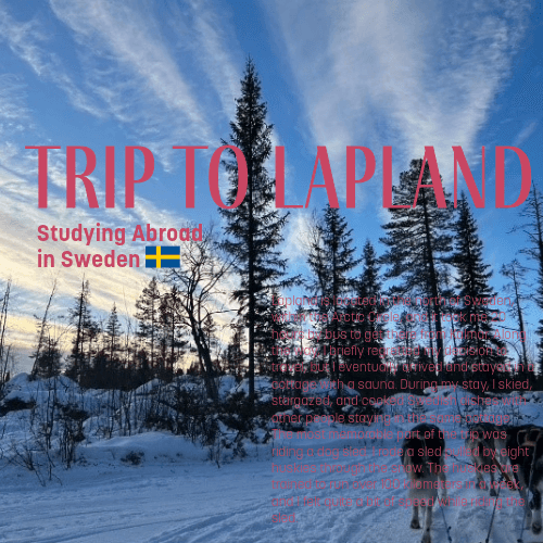 スウェーデン留学～ラップランド旅行