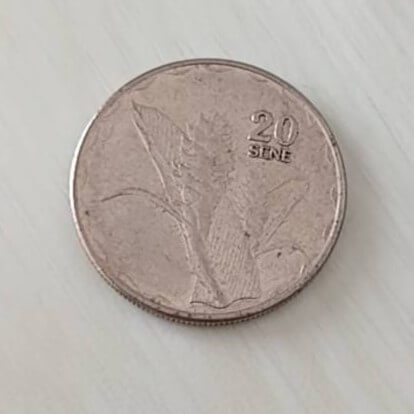 サモアの20セネ硬貨にも使われている国花セウイラ