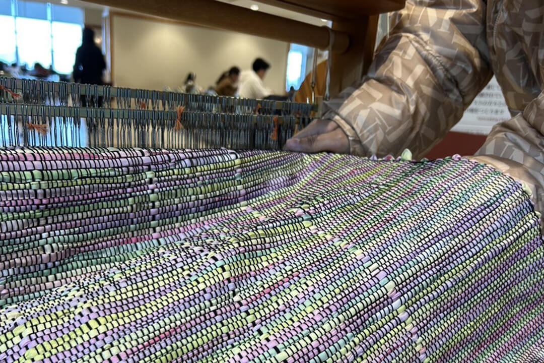 ワークショップを開催