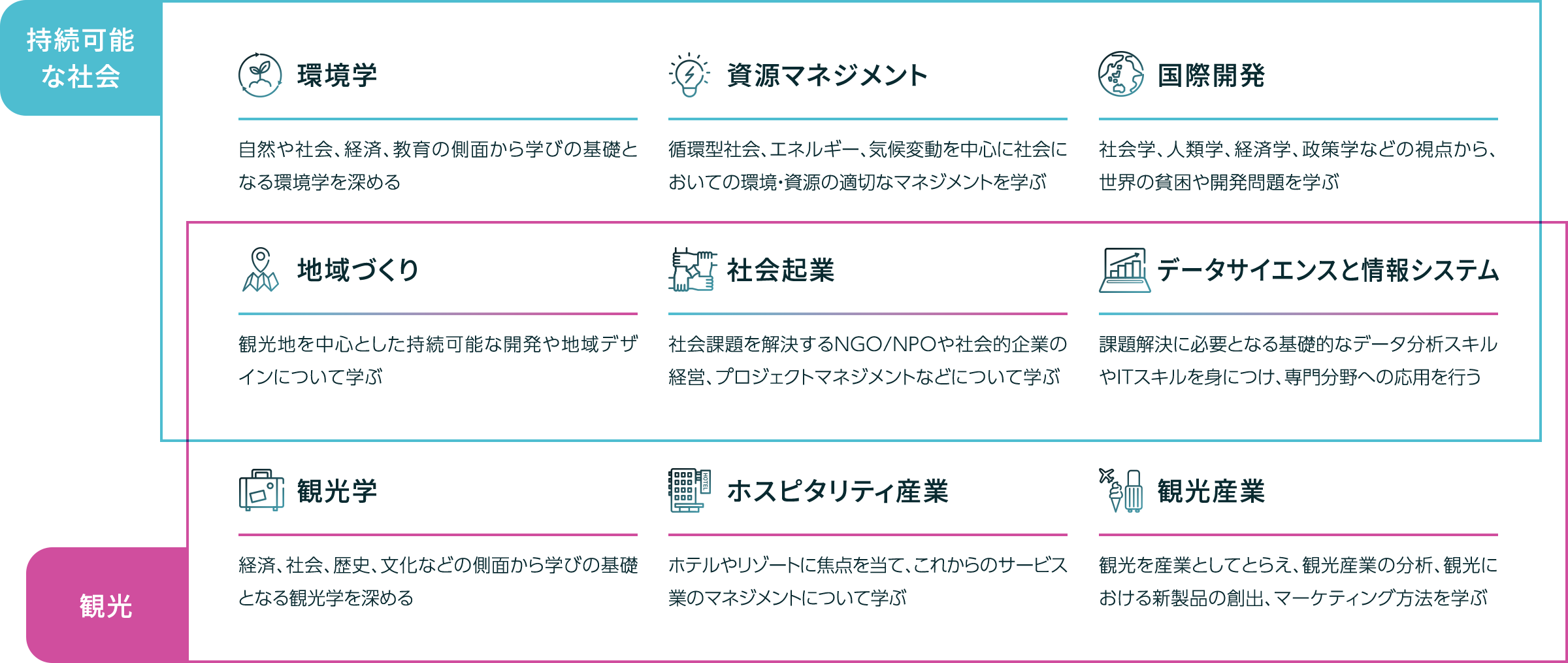 9つの専門領域からなる専門科目群